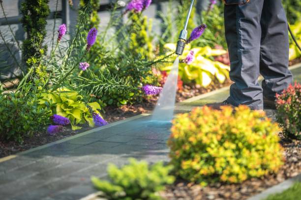 Trusted Hardeeville, SC  Pressure Washing Services Experts